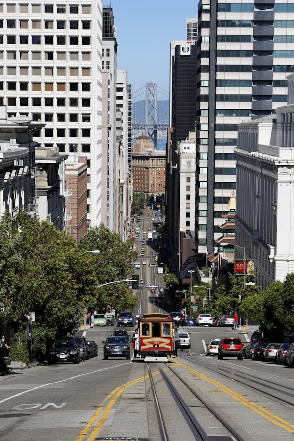 Point_Reyes_SF-163.jpg