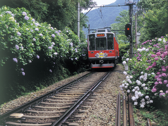 Hakone_1.jpg